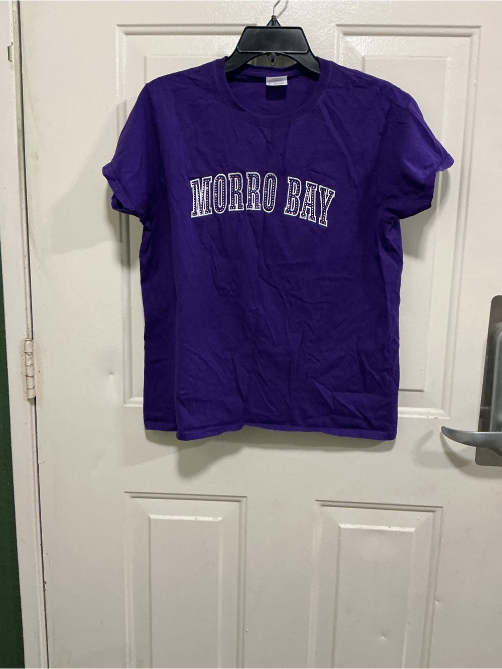 Gildan Purple Morro Bay Graphic Tee